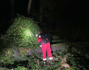 Poszukiwania w gęstwinie leśnej