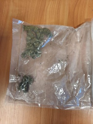 susz roślinny w woreczku foliowym