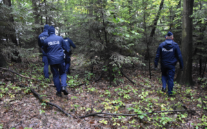 Funkcjonariusze podczas poszukiwań w lesie