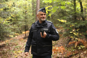 Umundurowany funkcjonariusz ze stacją nasobną podczas poszukiwań w lesie