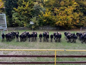 uczniowie klas mundurowych ubrani w mundury stoją podczas zbiórki