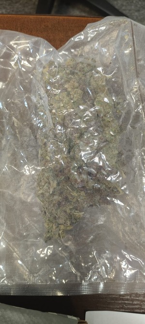 susz roślinny w woreczki