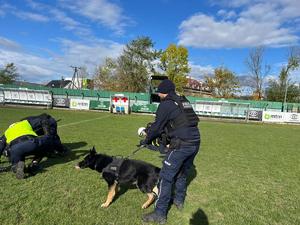 zatrzymywanie pozorantów dopuszczających się naruszeń prawa