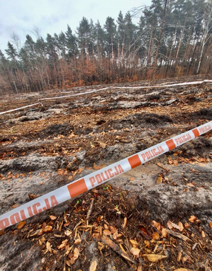 Na zdjęciu widnieje odcinek zabezpieczony taśmą policyjną na terenie leśnym