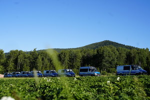 sznur samochodów opp w terenie