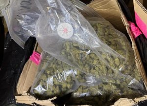 W worku znajdującym się w tekturowym pudełku zielona granulowana substancja