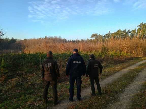 Policjant wraz ze Srażnikami Leśnymi kontrolują tereny leśne