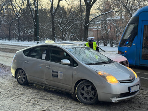 policjant rozmawia z kierującym taksówką, w tle planty