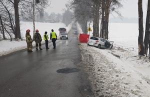 Miejsce śmiertelnego zdarzenia dogowego, widoczny rozbity samochód, parawan oraz policjantów i strażaków.