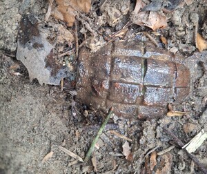 granat ręczny
