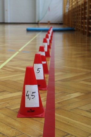 Słupki wyznaczające odległość w rzucie piłka