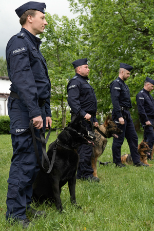 Przewodnicy psów służbowych wraz z podopiecznymi udającymi się na emeryturę