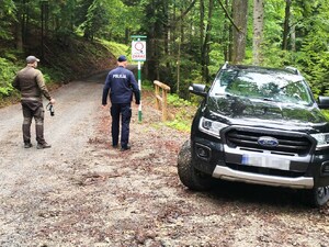 policjant i leśniczy w czasie patrolu w terenie leśnym