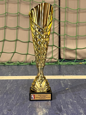 Puchar za wygranie Dywizji B w Nowohuckiej Amatorskiej Lidze Futsalu