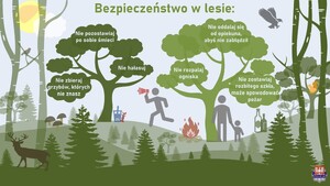 treść grafik znajduje się w załączniku