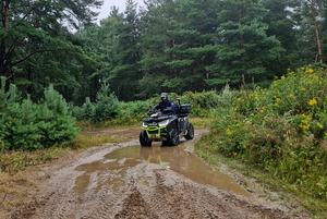 policjant na quadzie w lesie