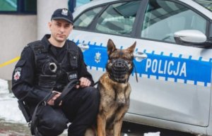 policjant pozuje z psem służbowym