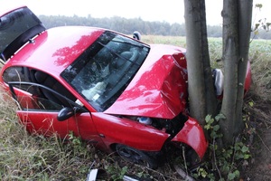 seat przy drzewie widok z przodu