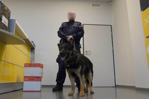 policjant z psem