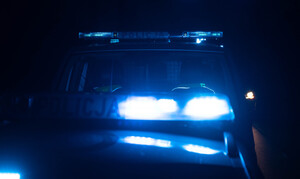 policja