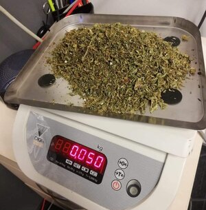 waga elektroniczna, na której ważony jest susz roślinny koloru zielonego
