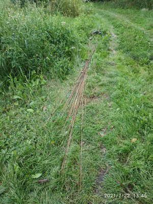 długie kilkumetrowe pręty metalowe leżące na trawniku