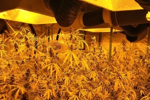 awatar -zdjęcie poglądowe