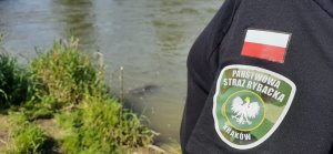 patrol policji ze strażą rybacką