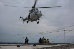 Policjanci SPKP w trakcie ćwiczeń w Tauron Arenie