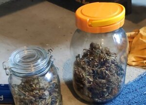 słoiki z suszem