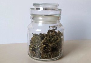 Zabezpieczona marihuana