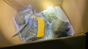 zabezpieczona marihuana w workach foliowych, które znajdują się w kartonie