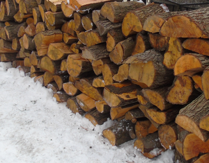 Ujawnione skradzione drewno. Pocięte i poukładane jedno na drugie.