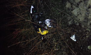 niekompletny skuter leży w zaroślach