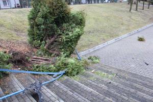 Przewrócone krzewy, metalowa barierka leży przewrócona na schodach