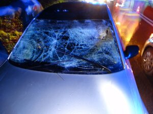 rozbita szyba w samochodzie biorącym udział w zderzeniu ze zwierzęciem
