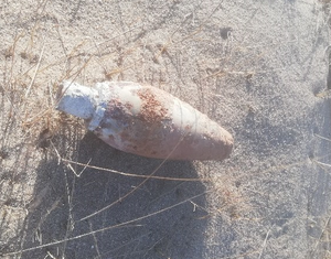 zabezpieczony pocisk