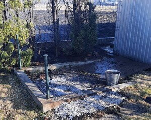 miejsce spalania odpadów. Spalone tuje