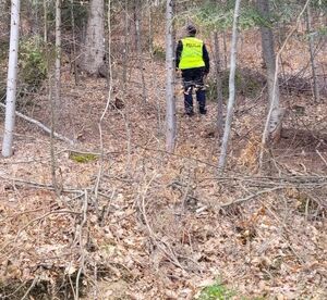 policjant patroluje las
