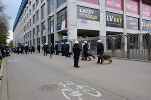 Policyjne patrole z psami przed budynkeim stadionu