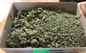 pudło kartonowe wypełnione marihuaną