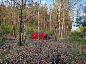 w masywie leśnym czerwony parawan z napisem straż który zasłania miejsce zdarzenia drogowego