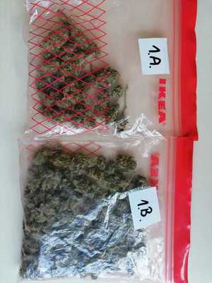 Zabezpieczona marihuana w dwóch foliowych woreczkach