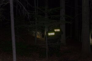 zdjęcie poglądowe - policjanci w porze nocnej w kompleksie leśnym w trakcie poszukiwań zaginionego