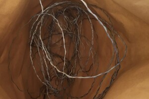 lina przeznaczona do kłusownictwa umieszczona w szarej kopercie