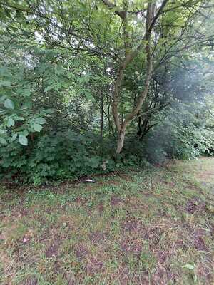 drzewostan gdzie 36 latek ukrył skradzione rzeczy