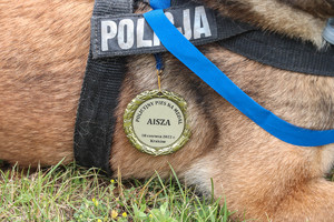 pamiątkowy medal na szyi psa z jego imieniem