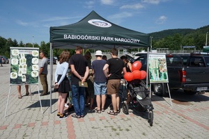 stoisko babiogórskiego parku narodowego przed lktórym stoi rodzina słuchająca informacji na temat bezpieczeństwa w parkach