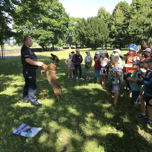 policyjny przewodnik psa służbowego opowiada dzieciom o swojej pracy