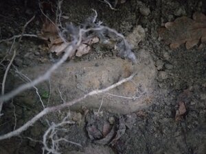 niewybuch po części zakopany w ziemi